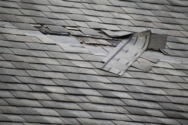 Signs You Need Roofing Repairs